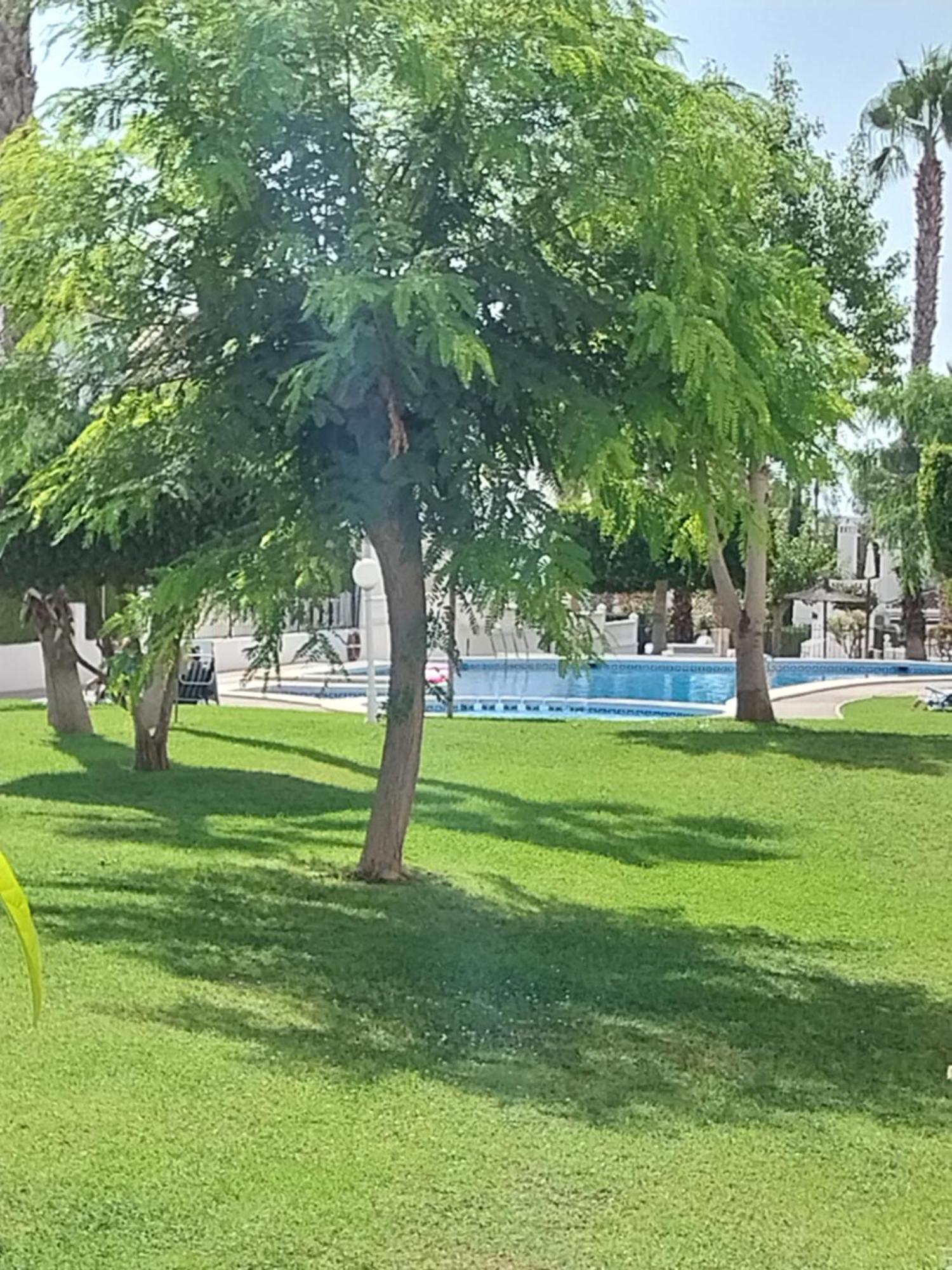 Charming Apartment In Front Of Villamartin Golf And Plaza Luaran gambar